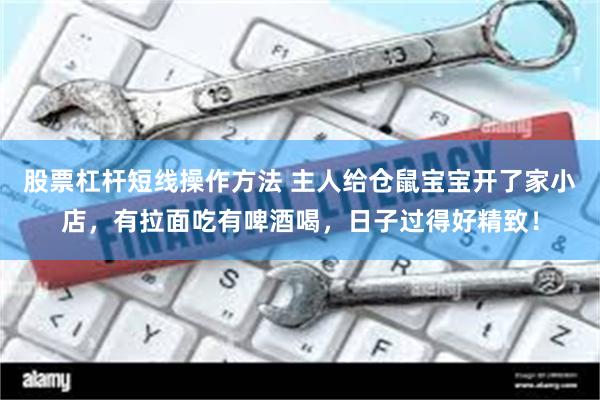 股票杠杆短线操作方法 主人给仓鼠宝宝开了家小店，有拉面吃有啤酒喝，日子过得好精致！