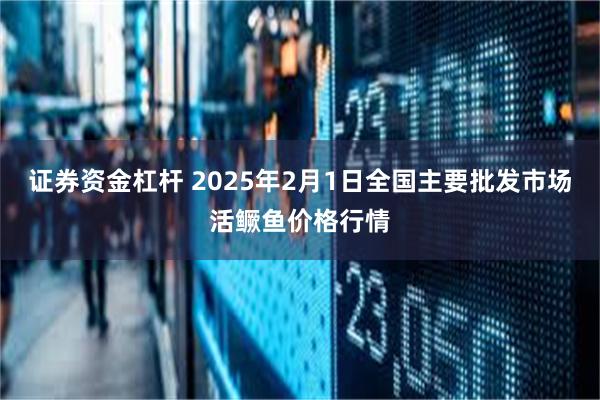 证券资金杠杆 2025年2月1日全国主要批发市场活鳜鱼价格行情