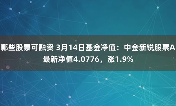 哪些股票可融资 3月14日基金净值：中金新锐股票A最新净值4.0776，涨1.9%