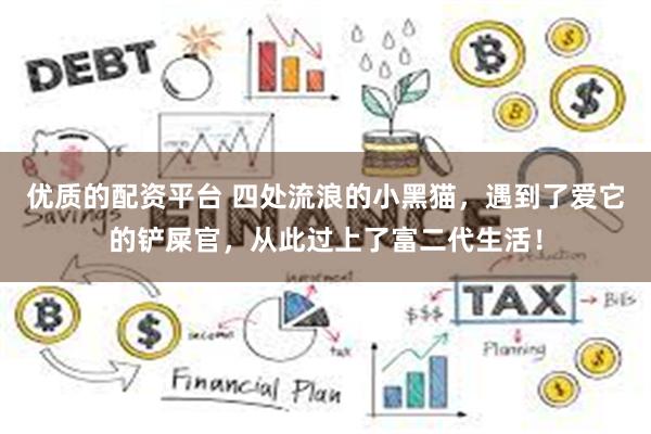 优质的配资平台 四处流浪的小黑猫，遇到了爱它的铲屎官，从此过上了富二代生活！