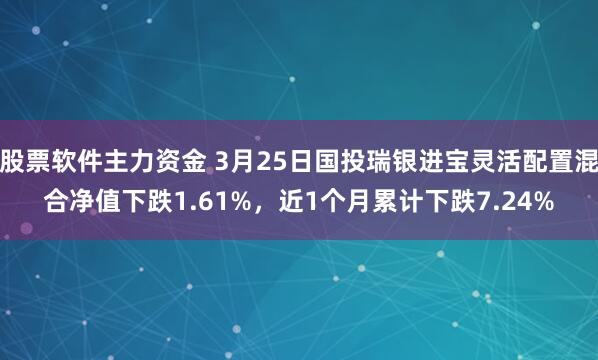 股票软件主力资金 3月25日国投瑞银进宝灵活配置混合净值下跌1.61%，近1个月累计下跌7.24%