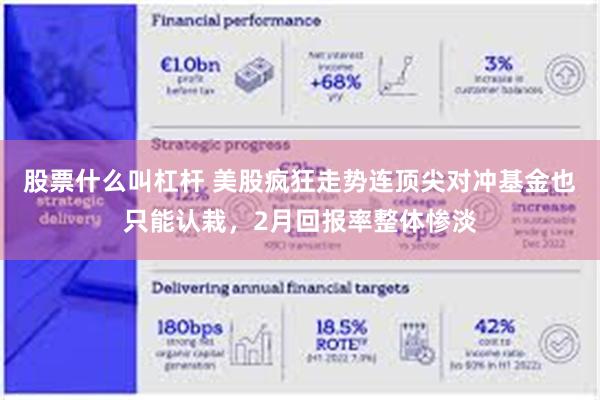 股票什么叫杠杆 美股疯狂走势连顶尖对冲基金也只能认栽，2月回报率整体惨淡