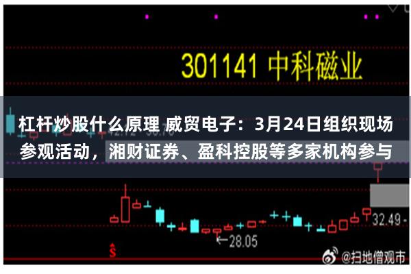 杠杆炒股什么原理 威贸电子：3月24日组织现场参观活动，湘财证券、盈科控股等多家机构参与