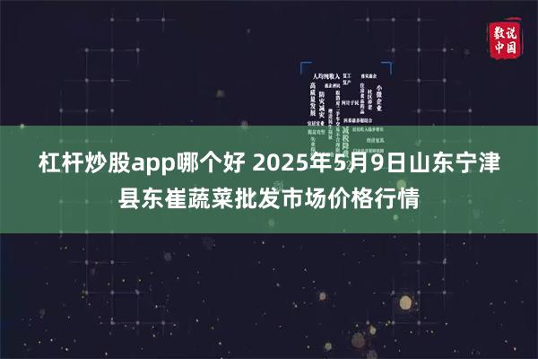 杠杆炒股app哪个好 2025年5月9日山东宁津县东崔蔬菜批发市场价格行情