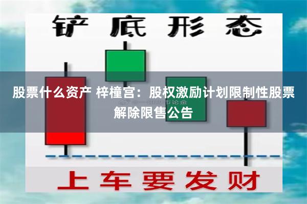 股票什么资产 梓橦宫：股权激励计划限制性股票解除限售公告