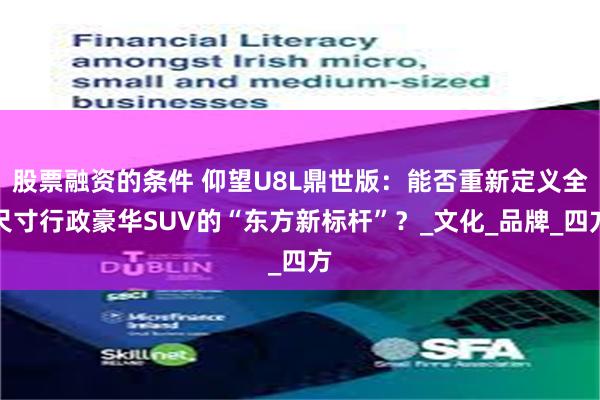 股票融资的条件 仰望U8L鼎世版：能否重新定义全尺寸行政豪华SUV的“东方新标杆”？_文化_品牌_四方