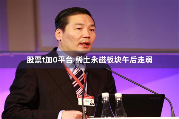 股票t加0平台 稀土永磁板块午后走弱